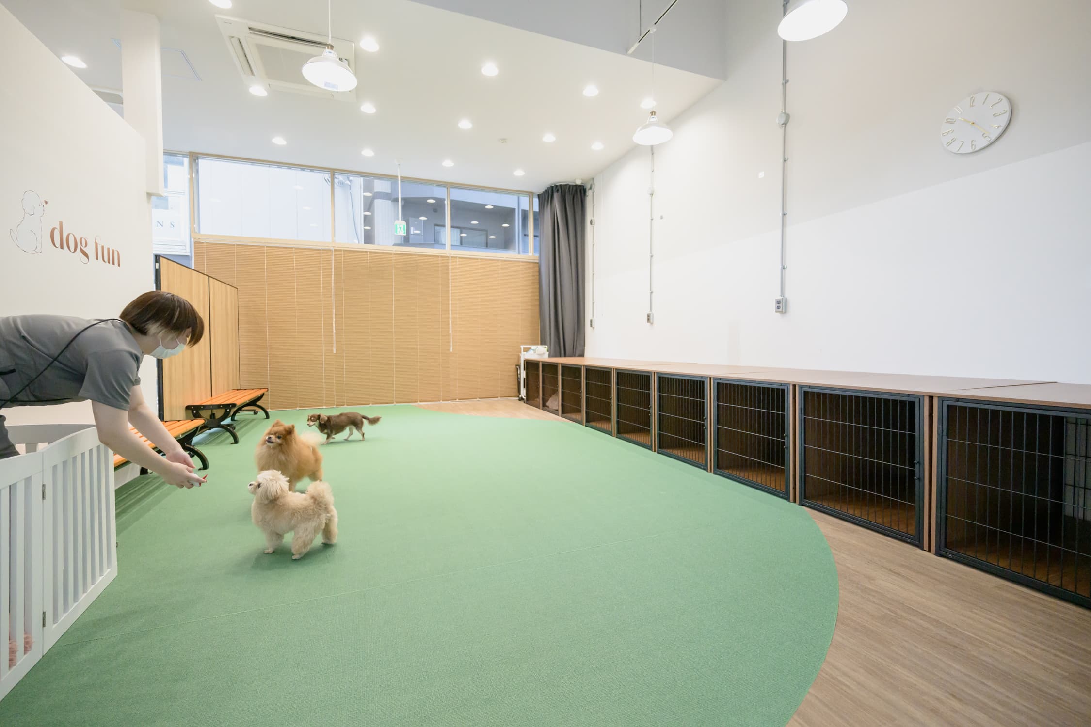 dog fun リニューアル完了!新しい空間で愛犬により快適な時間を