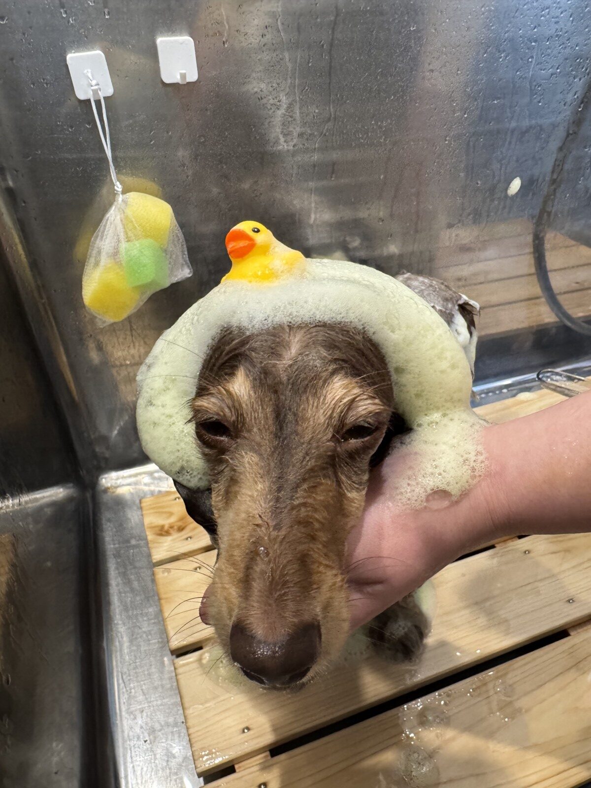 プロフェッショナルケア