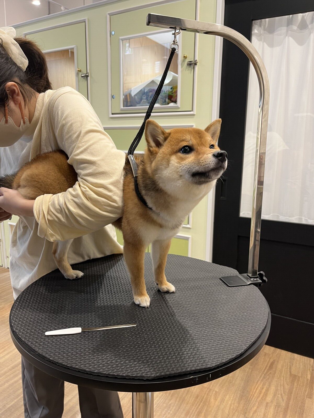個性に合わせたトリミング