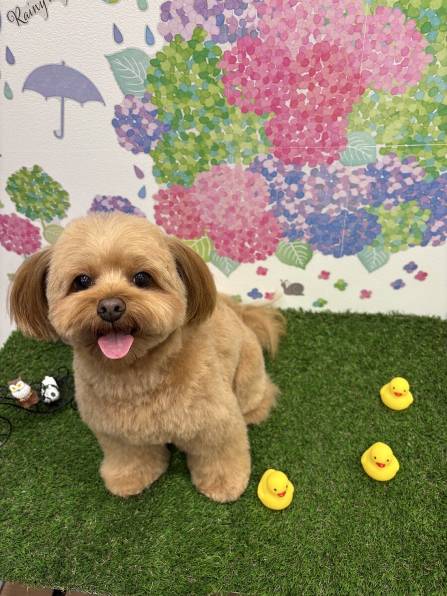 くう太