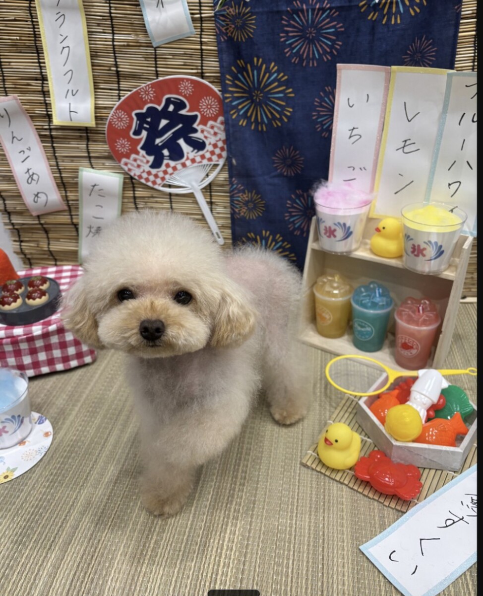 お客様の愛犬1